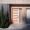 Quinque - 5 Rectangle Lite Exterior Door(1-3/4